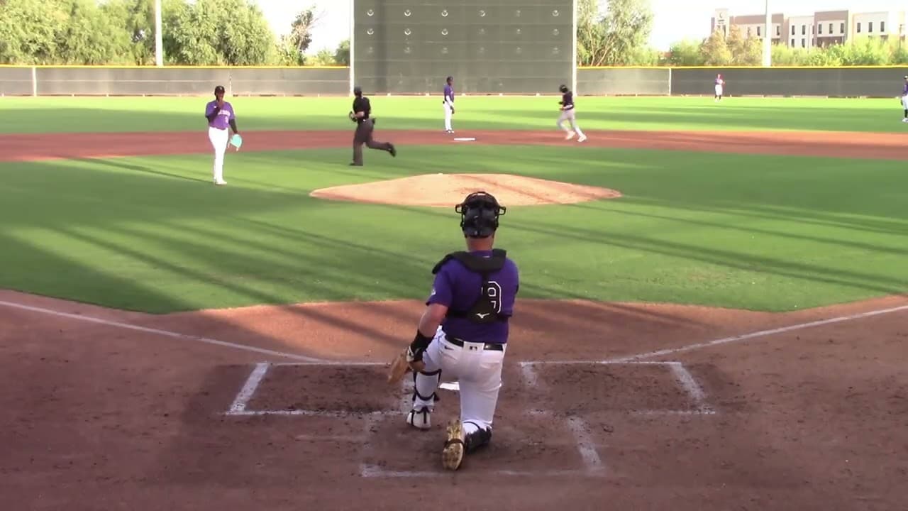 Gustavo Baptista Homer 5/18/26